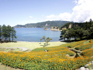 エアクルーズ黄金崎ダイビングツアー　黄金崎ダイビングセンターにて